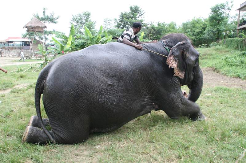 India & Nepal 2011 - 0572